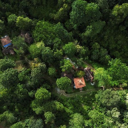 Mahout Resort Wayanad - An Experiential Jungle Stay With Waterfall Kalpetta Exterior foto