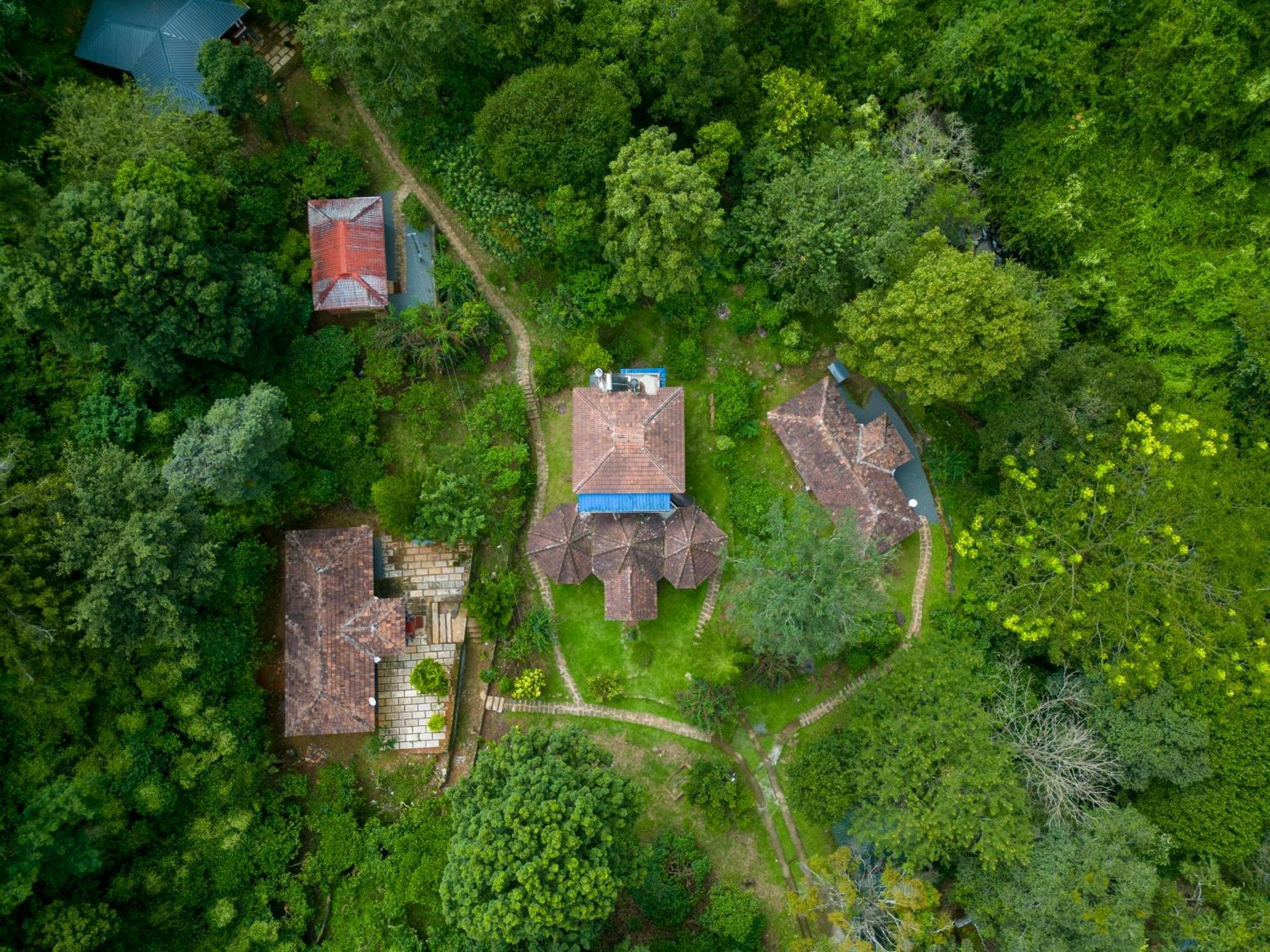 Mahout Resort Wayanad - An Experiential Jungle Stay With Waterfall Kalpetta Exterior foto