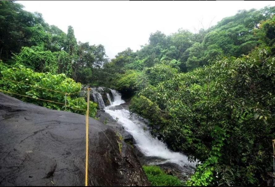 Mahout Resort Wayanad - An Experiential Jungle Stay With Waterfall Kalpetta Exterior foto