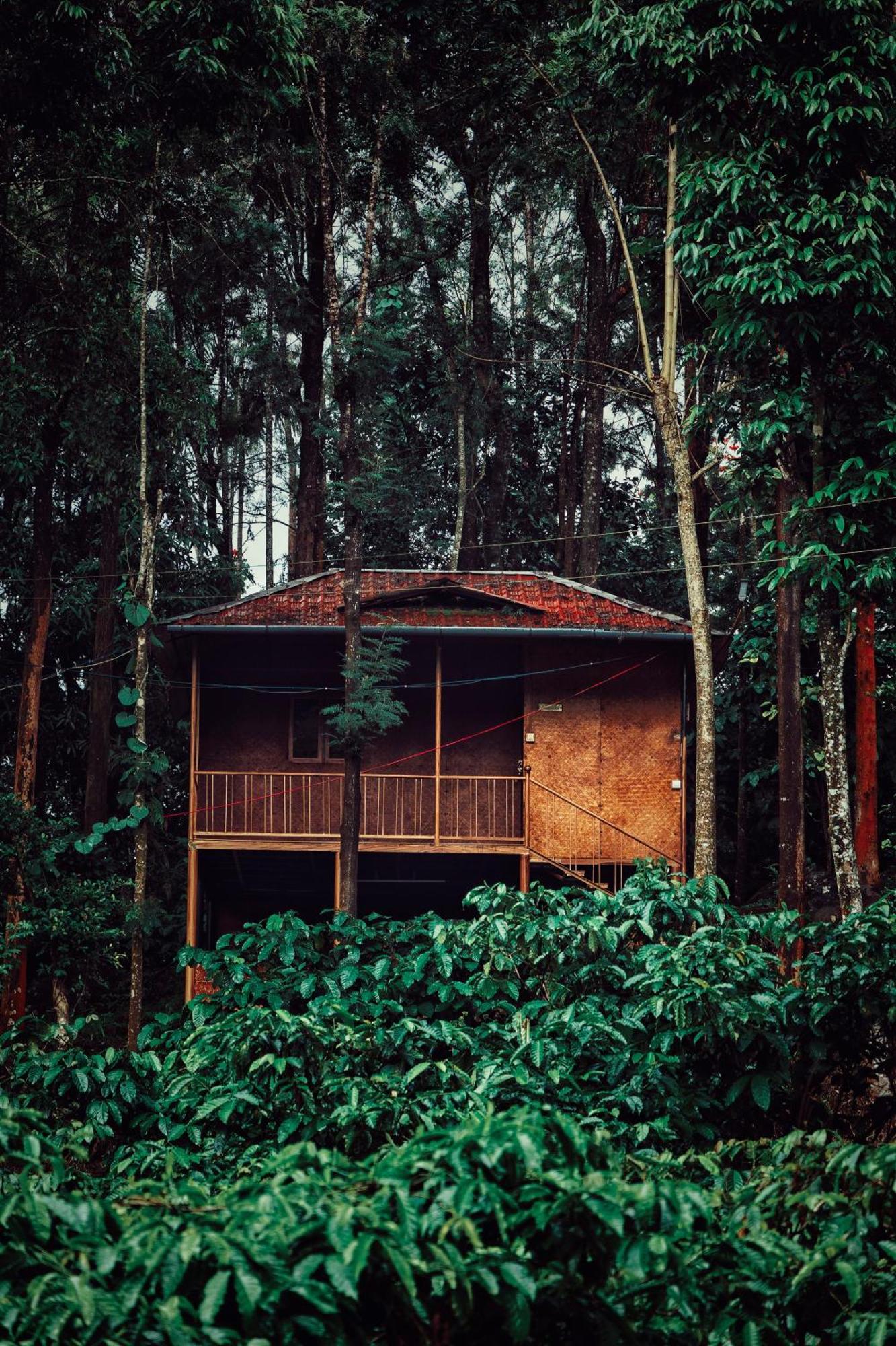 Mahout Resort Wayanad - An Experiential Jungle Stay With Waterfall Kalpetta Exterior foto