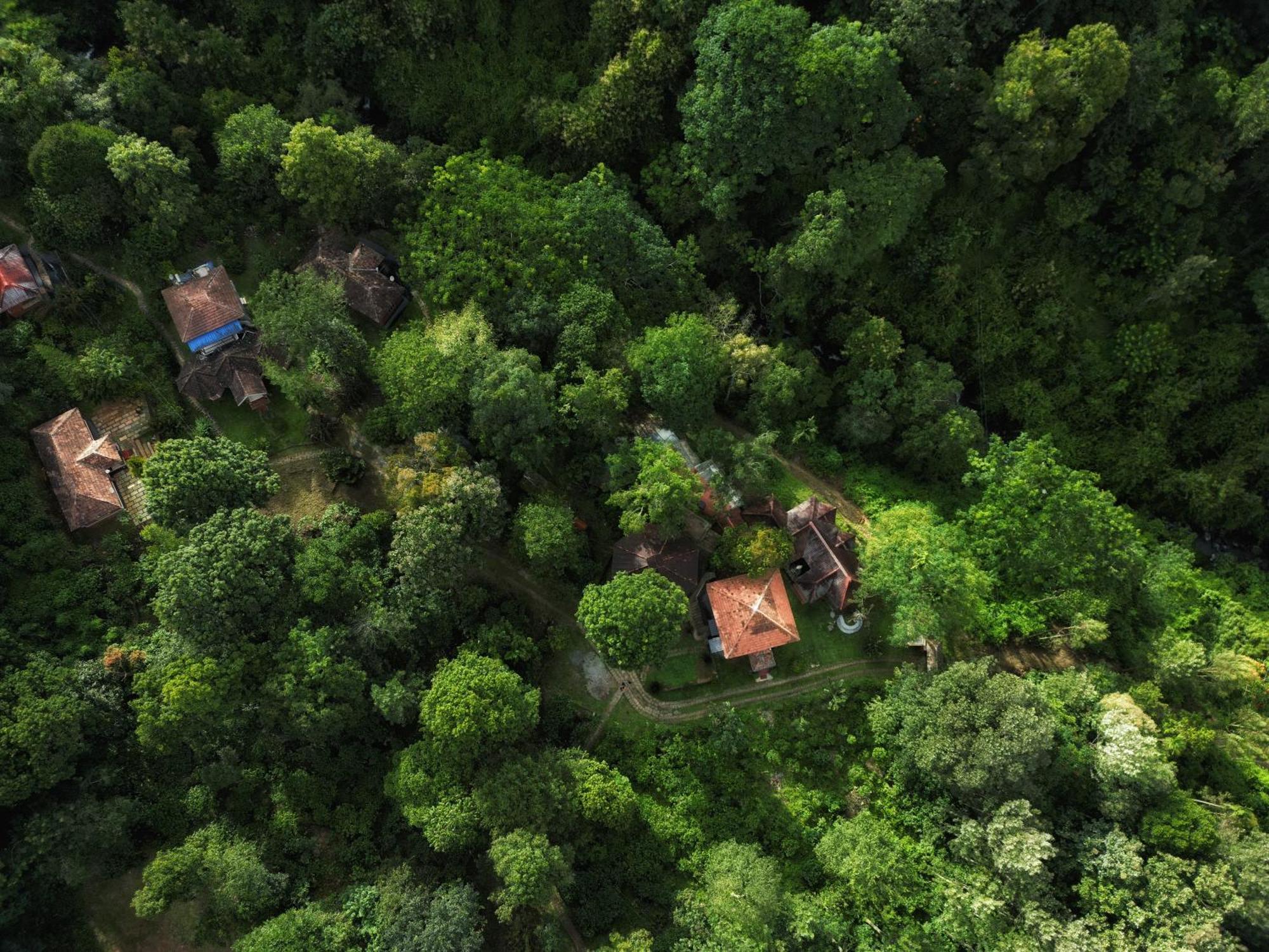 Mahout Resort Wayanad - An Experiential Jungle Stay With Waterfall Kalpetta Exterior foto