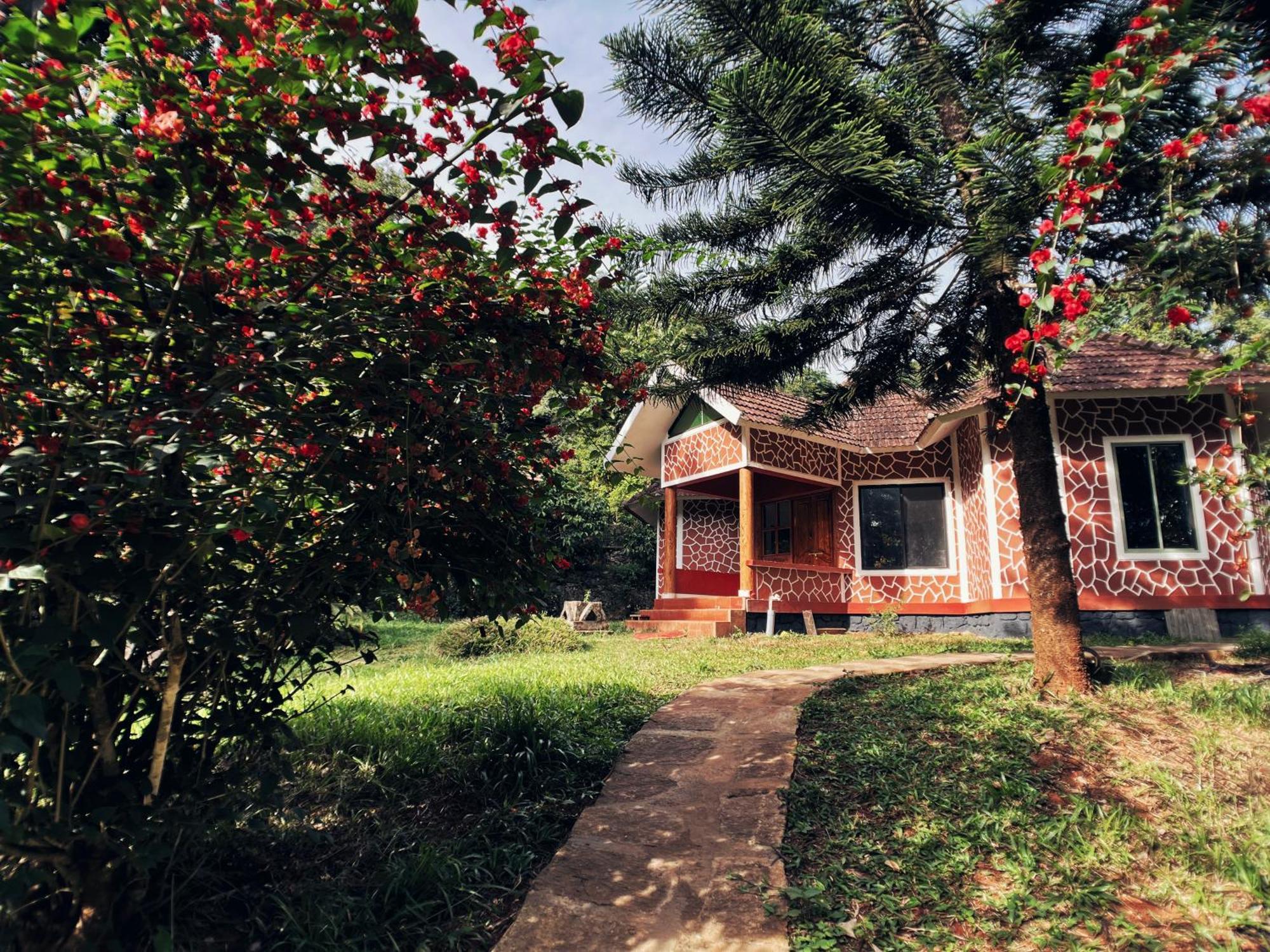 Mahout Resort Wayanad - An Experiential Jungle Stay With Waterfall Kalpetta Exterior foto