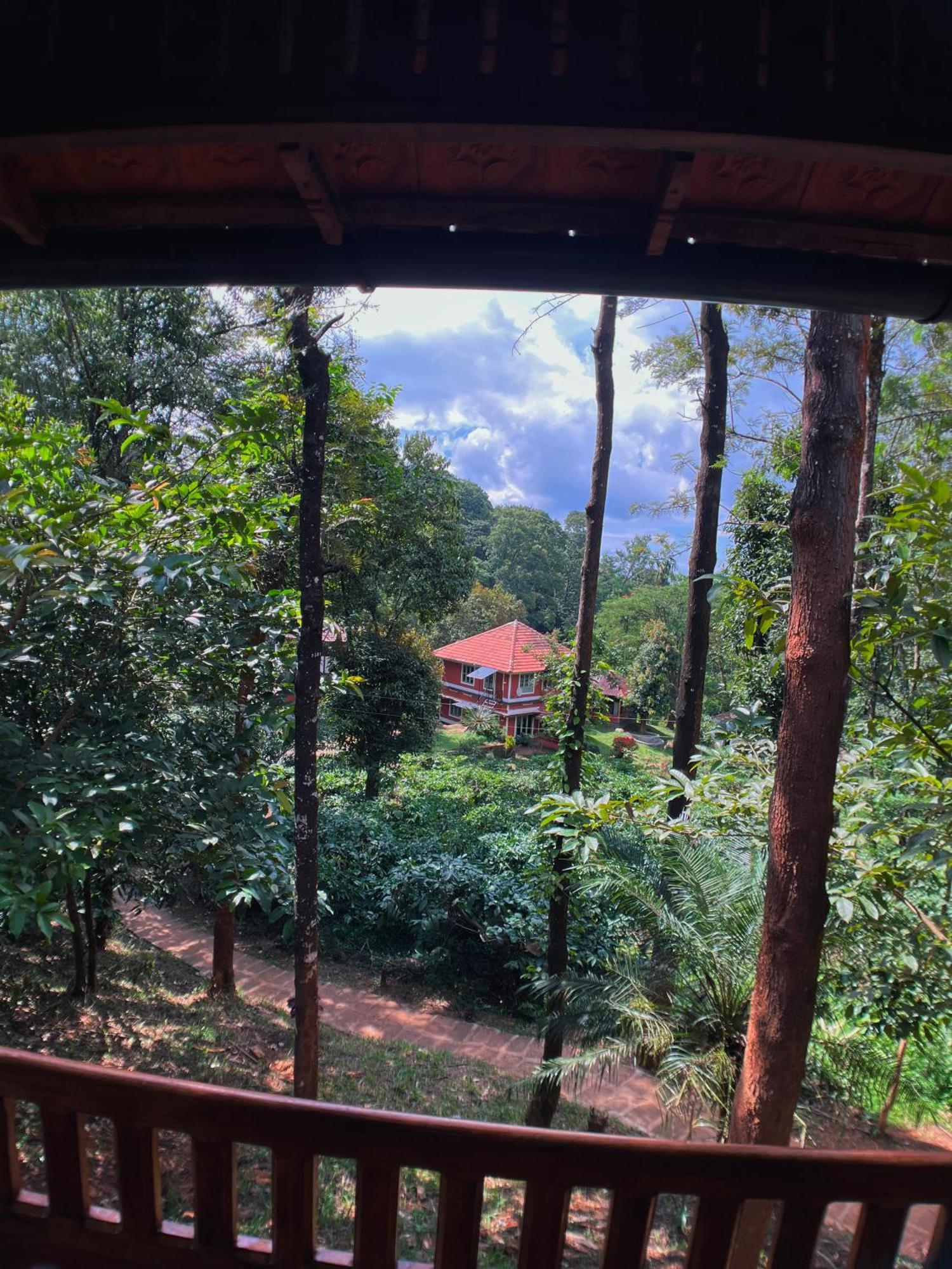 Mahout Resort Wayanad - An Experiential Jungle Stay With Waterfall Kalpetta Exterior foto