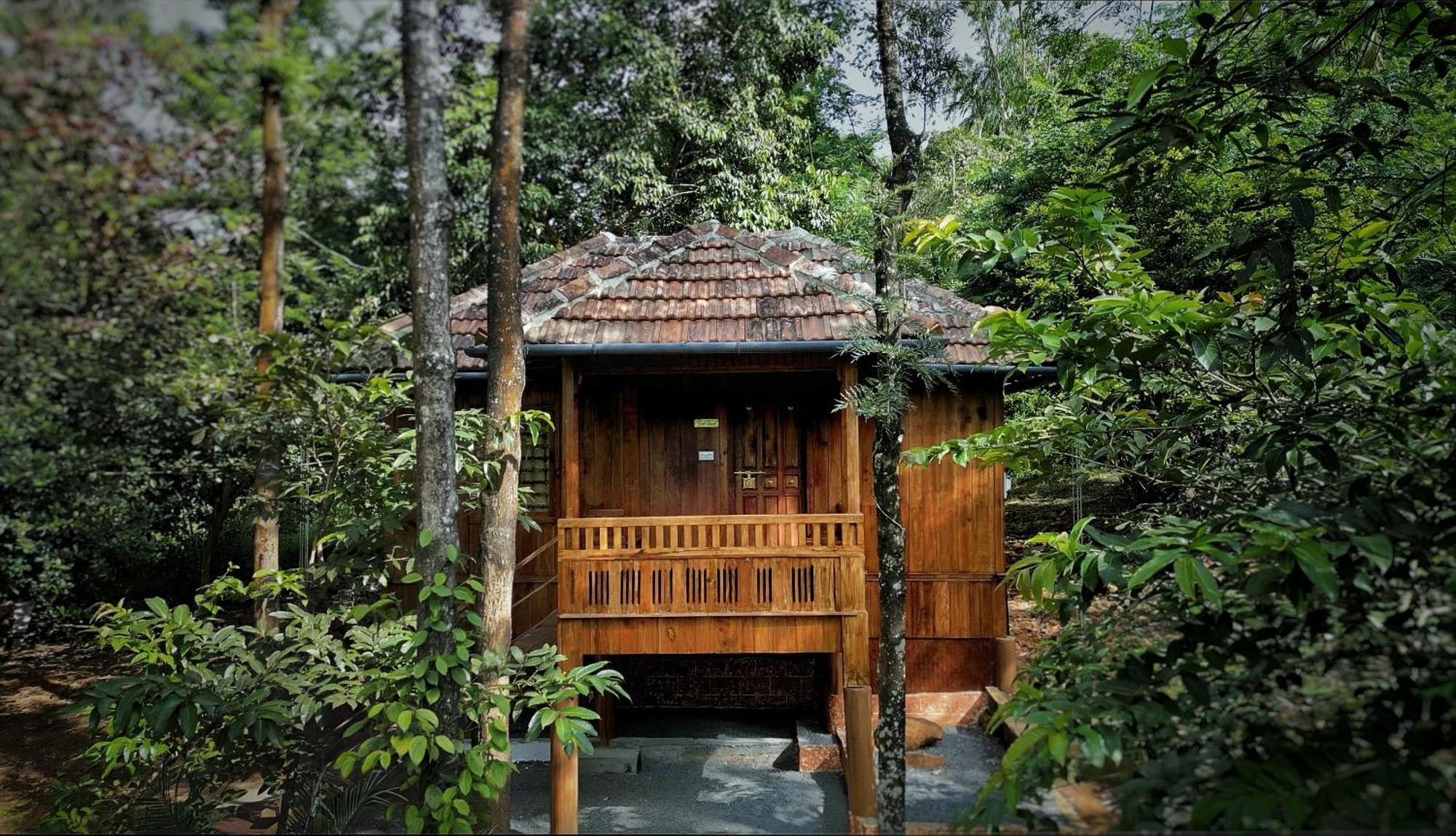 Mahout Resort Wayanad - An Experiential Jungle Stay With Waterfall Kalpetta Exterior foto